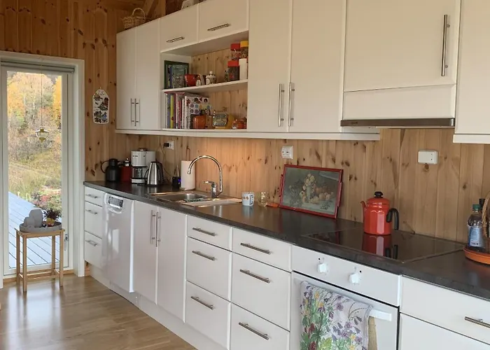 Unique Private In Lofoten 度假居